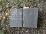 image of grave number 949228